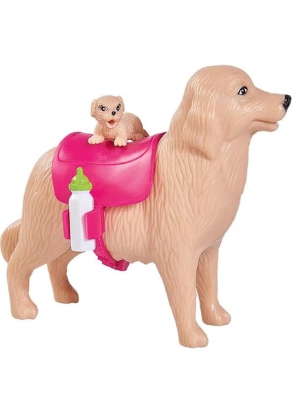 Evi Köpeği ve 3 Yavrusu SMB-105733072 fiyatları