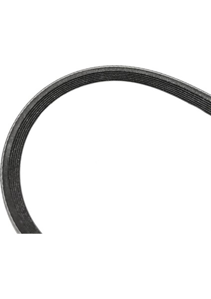 Honda 56992-R40-A01 Kayışı 2008-2012 Anlaşması 56992R40A01 Için (Yurt Dışından)