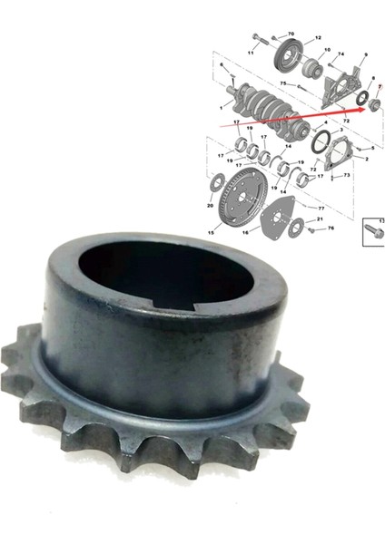 Motor Yağı Pompası Dişli 051383 Peugeot Için 206/207/301/307/308/2008 Citroen C2/c3/c4/picasso/elysee Zamanlama Ara (Yurt Dışından) fiyatları