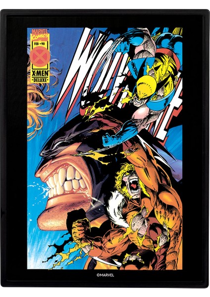 Marvel Wolverine Sabretooth'a Karşı MV01 modelleri