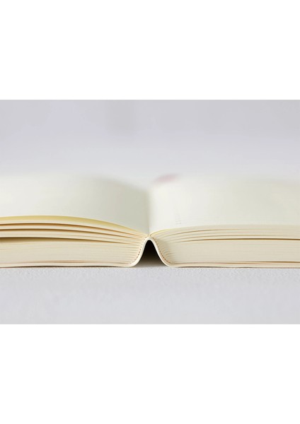 Md Paper Notebook Diary 2026 Daily A5 1 Day 1 Page