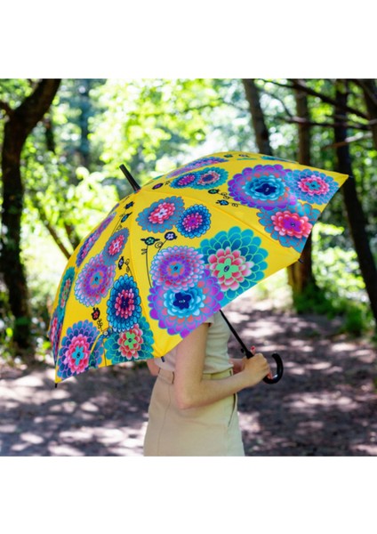 Rainbeau - Şemsiye - Dahlia modelleri