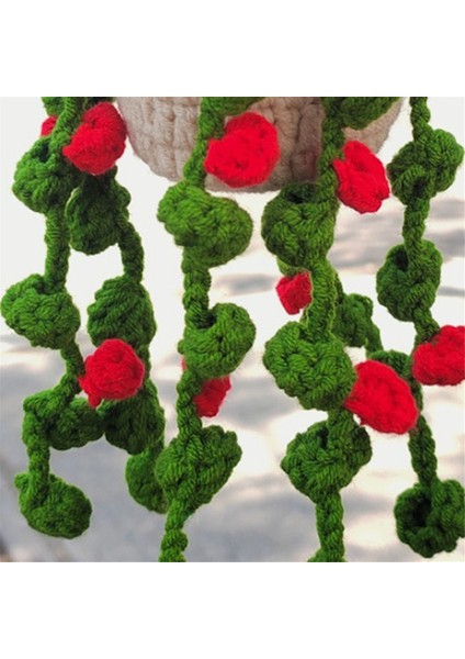 Dikiz Ayna Kolye Sevimli Saksı Bitkileri Tığ Işi Araba Ayna El Örme Bitki Asılı Süslemeler Araba Aksesuarları C (Yurt Dışından) modelleri