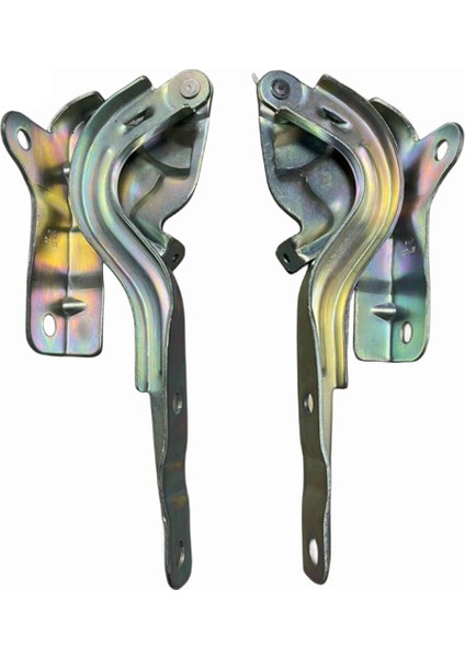 1paır Arar Hood Menteşes Sürücü ve Yolcu Tarafı 66920-Q20 (Yurt Dışından)