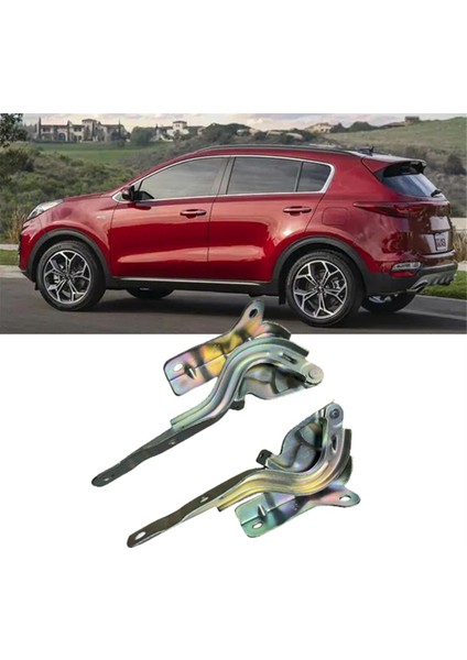 1paır Arar Hood Menteşes Sürücü ve Yolcu Tarafı 66920-Q20 (Yurt Dışından) modelleri