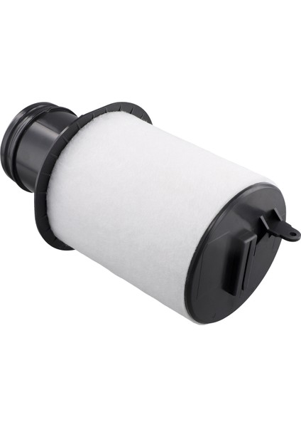 420133844D Audi R8 V8 4.2l V10 5.2l Coupe/spyder 2007-2012 2013-2015 420133844B Için Hava Filtresi Elemanı Filtre Izgarası (Yurt Dışından) fiyatları