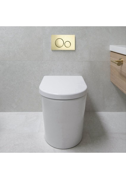 Geberit SIGMA20 Için Çift Flush Plaka Modern Altın Estetik Çift Aydınlatma Plakası Banyo Parçaları (Yurt Dışından) fiyatları