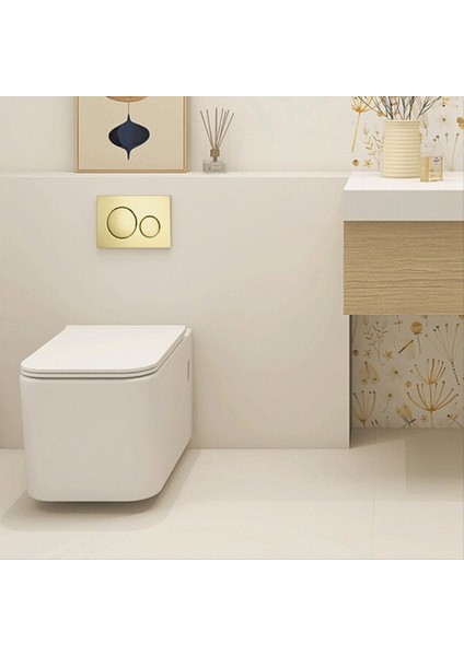 Geberit SIGMA20 Için Çift Flush Plaka Modern Altın Estetik Çift Aydınlatma Plakası Banyo Parçaları (Yurt Dışından) indirimleri