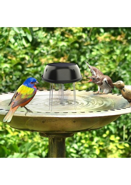 Güneş Su Karıştırıcı, Dairesel Su Dalga Jeneratörü, Su Dalgalanmaları Oluşturmak Için Kaya, Güneş Peyzaj Aletleri (Yurt Dışından) fırsatları