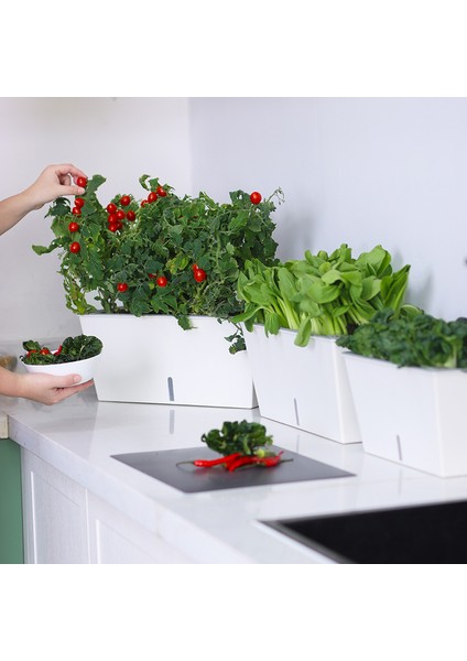 Kendinden Sulamalı Bahçe Tipi Dikdörtgen Akıllı Saksı modelleri