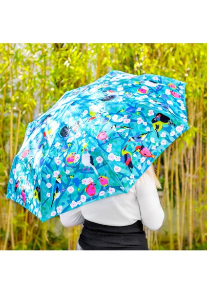 Parapli - Katlanabilir Şemsiye - Birds fiyatları