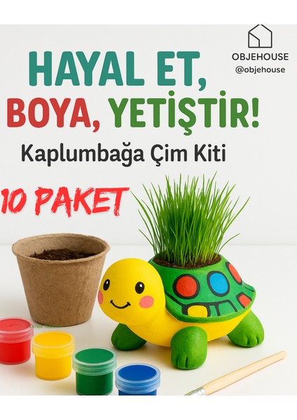 objehouse 10 Paket Kaplumbağa Obje Çim Kiti 6lı Akrilik Boya ve Fırça Set Boyama Seti