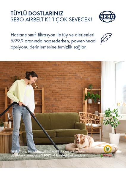 Airbelt K1 Cream Rose 900W Elektrikli Süpürge