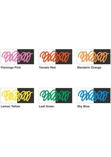 Acrea Paint Marker Set of 6 Vivid Colours