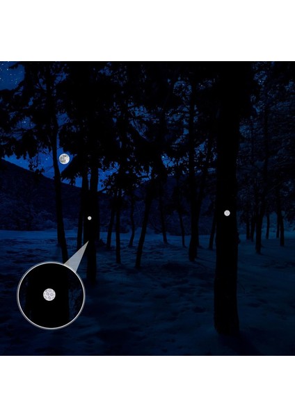 100PCS Yansıtıcı Tacks Trail Marking Tacks Yansıtıcı Trail Tacks Glow Tacks Yürüyüş Kampı Için Yansıtıcı Yol (Yurt Dışından) fiyatları