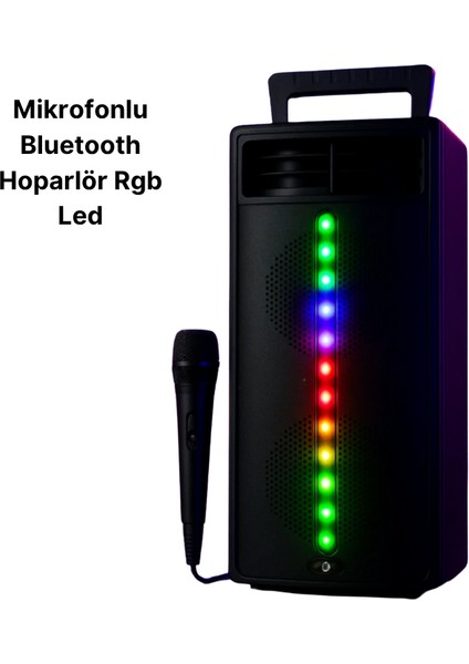 PG4266 Kablosuz Hoparlör