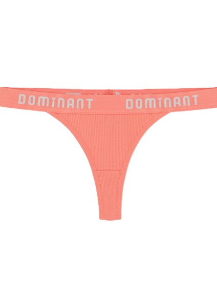 5'li Pamuklu Lastikli Normal Bel Tanga Külot fiyatları