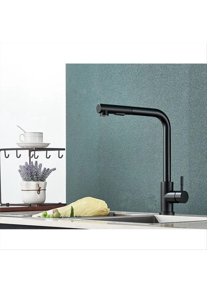 Siyah Çekin Mutfak Lavabo Musluğu Esnek 2 Mod Akarsu ve Püskürtücü Nozul Muslukları Paslanmaz Çelik Sıcak Soğuk Dokun (Yurt Dışından) fırsatları