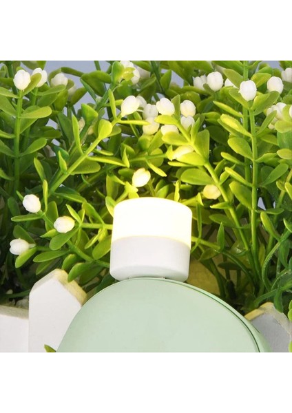 12PCS Mini USB Fiş Lambası 5V Süper Parlak Göz Koruma Kitabı Işık Bilgisayar Mobil Güç Şarj USB Küçük LED Işık, A (Yurt Dışından) fiyatları