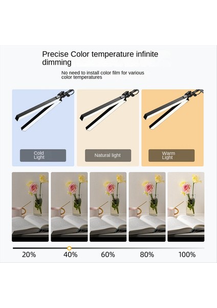Kelepçe Çift Kafa Mimarı Masa Lambası LED Masa Lambası Göz Koruma Modern Masa Işık 10 Parlak 3 Renk (Yurt Dışından)