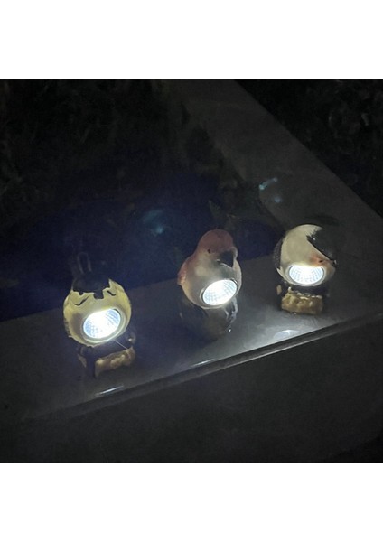 Dekoratif Güneş Işıkları Açık Güneş Kuşu Kazık Işıkları Dekoratif Bahçe Yol Işıkları Açık Su Geçirmez Kuş Işığı, C (Yurt Dışından) fiyatları