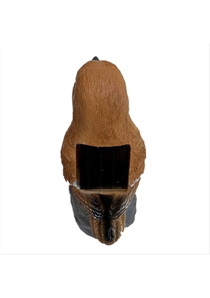 Dekoratif Güneş Işıkları Açık Güneş Kuşu Kazık Işıkları Dekoratif Bahçe Yol Işıkları Açık Su Geçirmez Kuş Işığı, C (Yurt Dışından) fırsatları