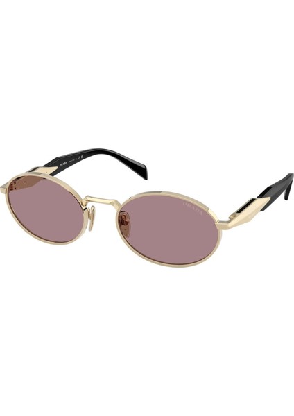 65ZS ZVN20I 55 Kadın Güneş Gözlüğü
