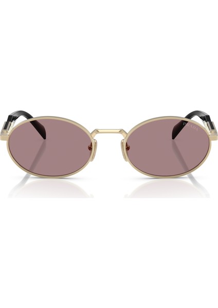 65ZS ZVN20I 55 Kadın Güneş Gözlüğü