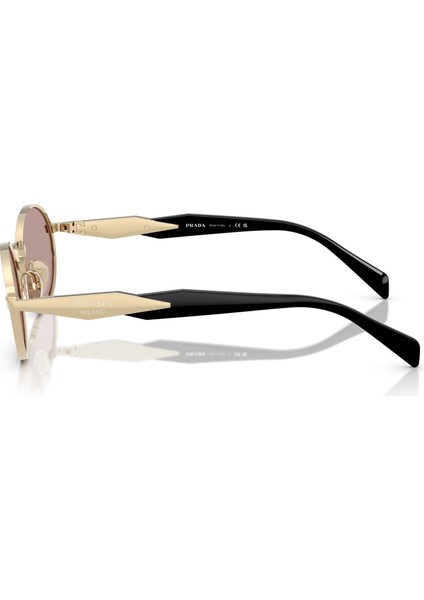 65ZS ZVN20I 55 Kadın Güneş Gözlüğü