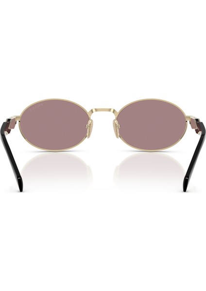 65ZS ZVN20I 55 Kadın Güneş Gözlüğü