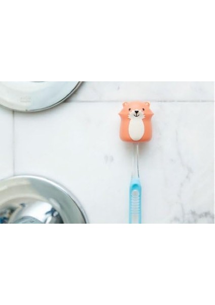 Diş Fırçası Tutacağı Tilki HH25FX