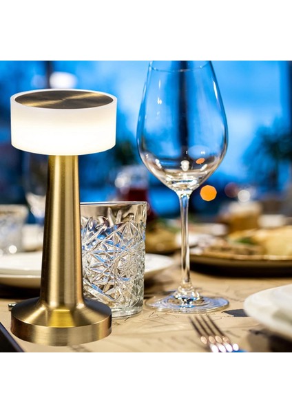 Dekoratif LED Masa Lambası MZ-328