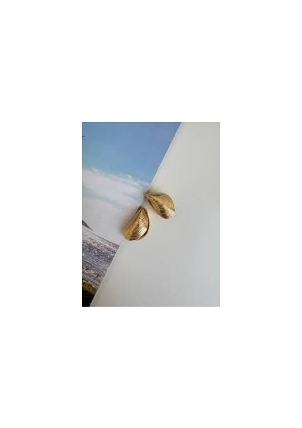 Gold Deniz Kabuğu Küpe – Zarif Midye Formu Vintage & Modern Tasarım Kadın Küpe