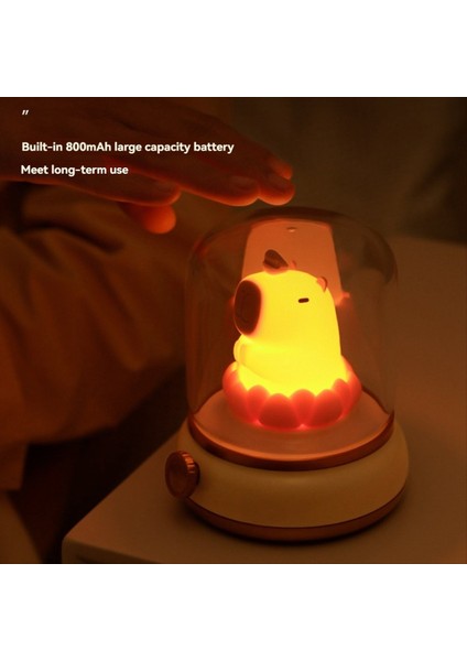 Iyi Şanslar Lotus Capybara Lambası Yaratıcı Çizgi Film Capibala Gece Işık Kız Doğum Günü Gece Işık Yeşil (Yurt Dışından)