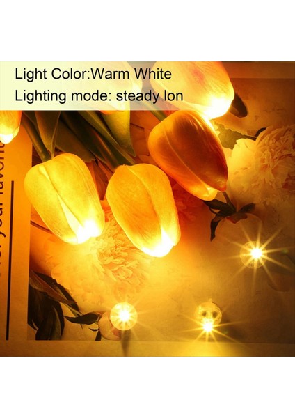 60PCS LED Balon Işıkları, Mini LED Işık Sıcak Beyaz, Kağıt Fener Için LED Balon Işığı, Balon Işığı, Doğum Günü Partisi (Yurt Dışından) modelleri