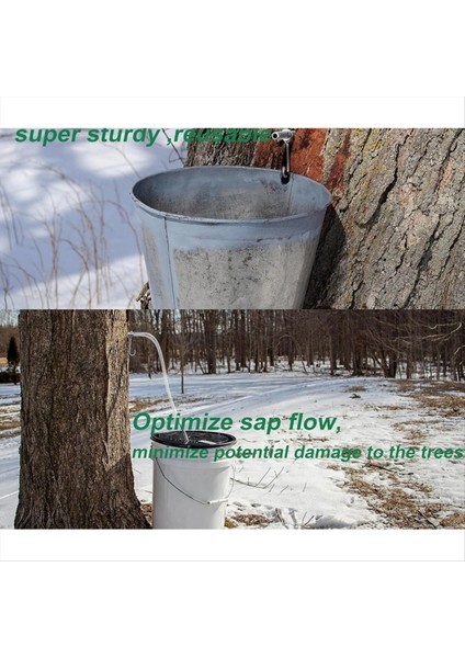 Akçaağaç Şurubu Kılavma Kiti Paslanmaz Çelik Akçaağaç Ağaç Spiles Gıda Sınıfı Temizlik Fırçaları Akçaağaç Ağacı Dokunma Kiti A (Yurt Dışından) fırsatları