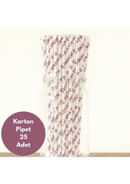 Beyaz Üzeri Metalik Fuşya Prenses Baskılı Karton Pipet 25 Adet
