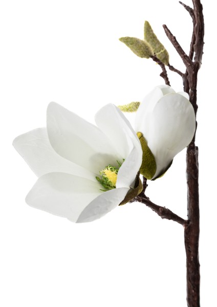 MANOLYA ÇİÇEĞİ BEYAZ 67CM fiyatları