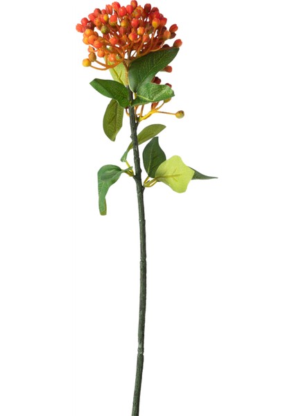 BERRY DAL ÇİÇEK TURUNCU 43CM