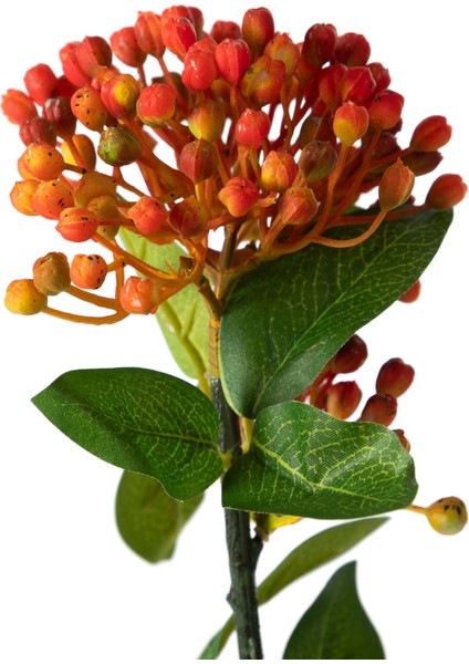 BERRY DAL ÇİÇEK TURUNCU 43CM indirimleri