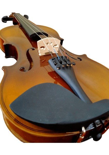 W50 3/4 Keman modelleri