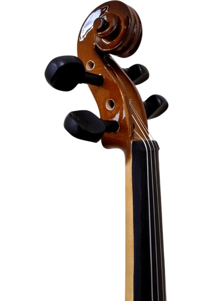 W50 3/4 Keman fırsatları