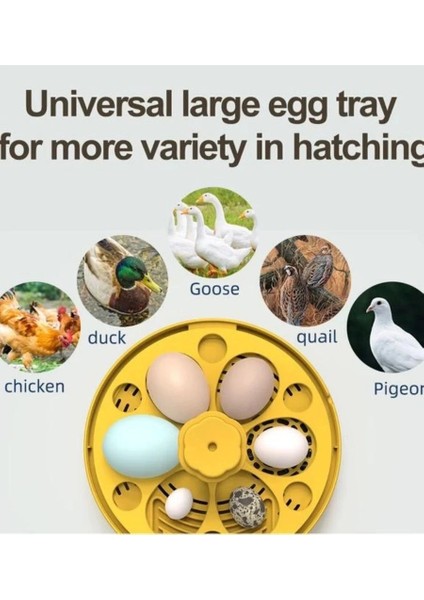 Mini Otomatik Ev Tipi Kuluçka: Elektrikli Tavuk ve Kuş Kuluçka Makinesi 6 Yumurtalı Mx-6 indirimleri