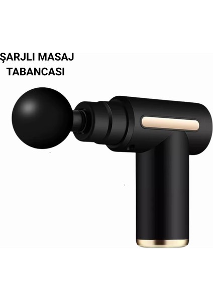 LF6140 Masaj Cihazı