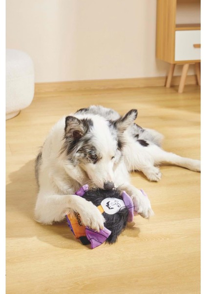 Halloween Witch Snack Attack Köpek Oyuncağı indirimleri