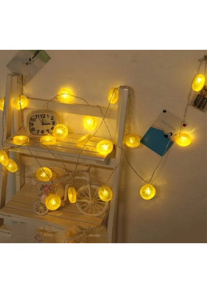 2m 10 LED Pilli 2 Kademeli Limon LED Işık MZ-304 modelleri