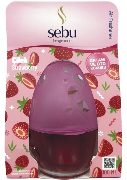 Sebu Ortam ve Oda Kokusu 100 ml Oto indirimleri