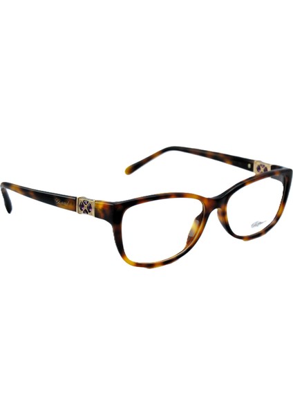 VCH226S 0752 23KT Gold Brown Cat Eye Kedi Gözü Kahverengi Havana 23KT Altın Kadın Gözlük fiyatları