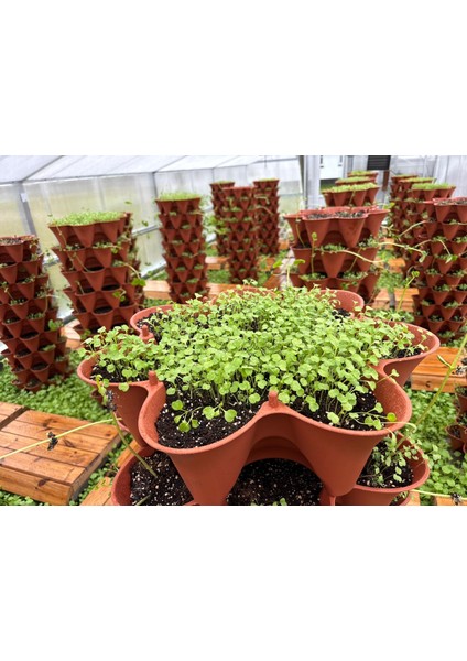 Yediveren Sabit - 10 Katlı Toprak Katlı Kule Saksı fırsatları