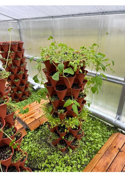 Yediveren Sabit - 10 Katlı Toprak Katlı Kule Saksı indirimleri